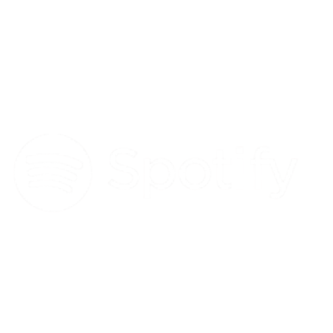 Spotify Product Image